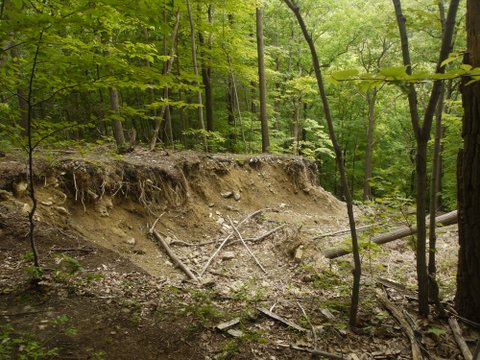 Mudslide Adjacent to Overlook Trail