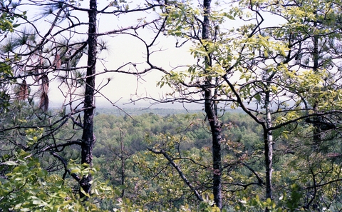 Scenic view from Shackleford Point Trail, Oak Mountain State Park, Shelby County, Alabama
