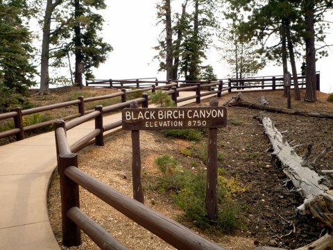 Black Birch Canyon, Bryce Canyon National Park, UT