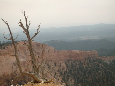 Bristlecone Loop Trail, Bryce Canyon National Park, UT