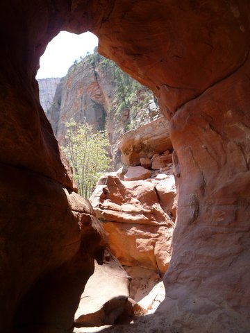 Cave under Angel's Landing Trail, Zion Canyon National Park, UT