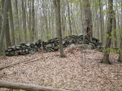 Stone wall on orange trail, Hunt-Parker Sanctuary, Westchester County, NY