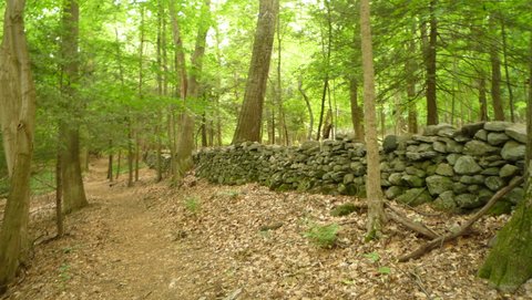 Stone wall, Mianus River Gorge, Westchester County, NY