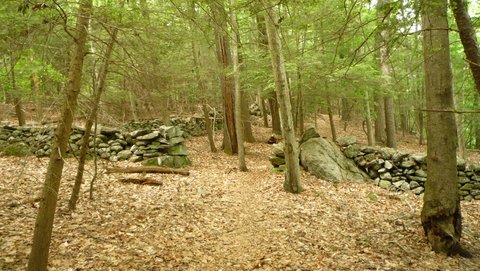 Stone walls, Mianus River Gorge, Westchester County, NY