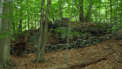 Stone wall and Boulders, Mianus River Gorge, Westchester County, NY