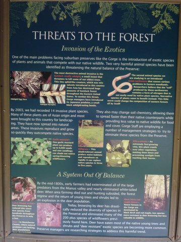 Threats to the forest poster, Mianus River Gorge, Westchester County, NY