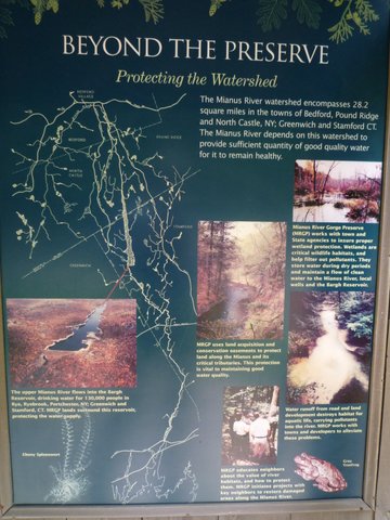 Protecting the Watershed Poster, Mianus River Gorge, Westchester County, NY