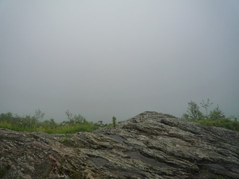Foggy day at Stony Ledge Vista, Mt. Greylock State Reservation, MA