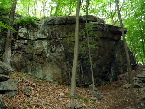 Rock wall, Ward Pound Ridge Reservation, Westchester County, NY