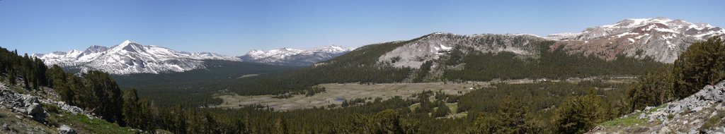 Dana Meadows and Kuna Crest, Yosemite National Park, California