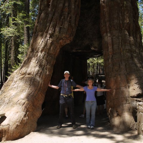 Posing in front of California Tree, Mariposa Grove, Yosemite National Park, California