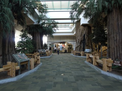 Giant sequoia theme, Fresno Airport, California