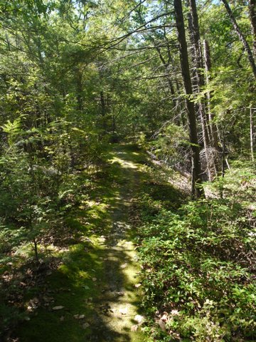 Jeremy Glick Trail, Abram S. Hewitt State Park, NJ
