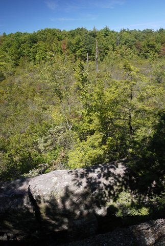 Scenic view, Jeremy Glick Trail, Abram S. Hewitt State Park, NJ