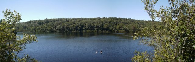 Surprise Pond, Abram S. Hewitt State Park, NJ