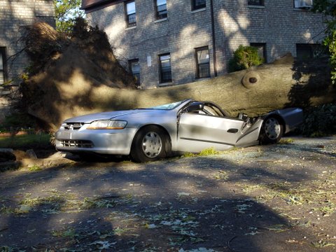 Flattened car, 137th St., Kew Gardens Hills, NYC