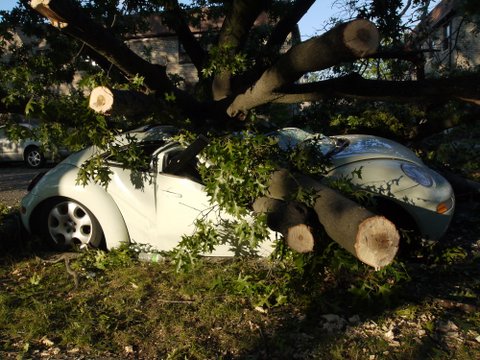 Flattened Volkswagen Beetle, 137th St., Kew Gardens Hills, NYC