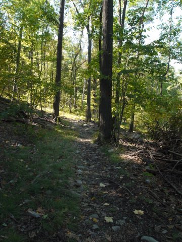 Duggan Trail, Black Rock Forest, Orange County, New York