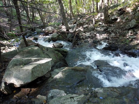 Stream from Upper Reservoir, Black Rock Forest, Orange County, New York