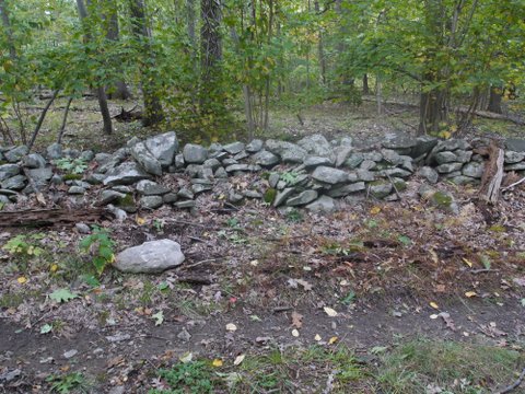 Stone wall on Swamp Trail, Black Rock Forest, Orange County, New York