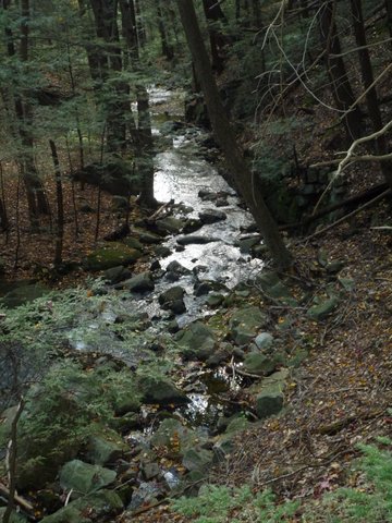 Mineral Spring Brook, Black Rock Forest, Orange County, New York