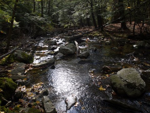 Mineral Spring Brook, Black Rock Forest, Orange County, New York