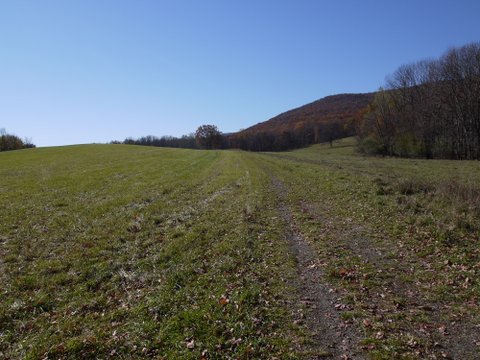 Crossing a field, Schunemunk Mountain State Park, Orange County, NY