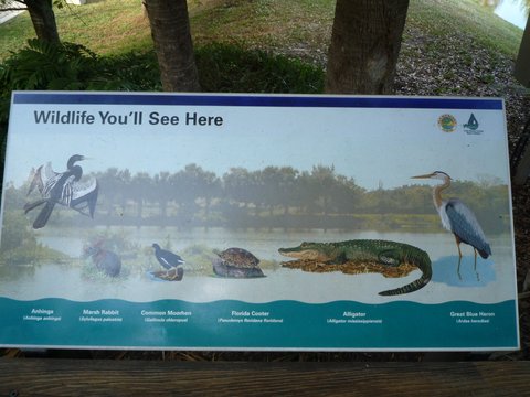 Wildlife poster, Wakodahatchee Wetlands, Palm Beach County, Florida