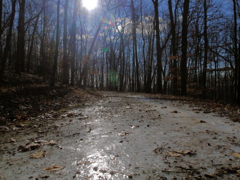 Ice on dirt road