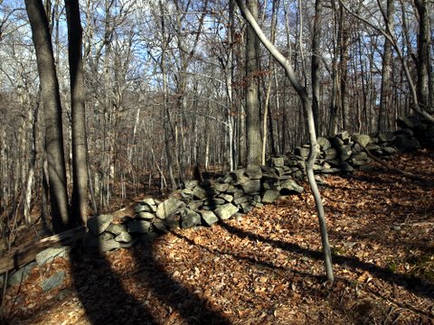 Rock wall, Mountain Lakes Park, Westchester County, NY