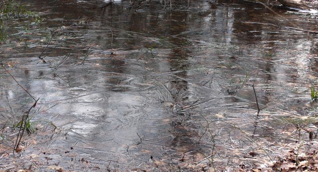 Frozen pond surface