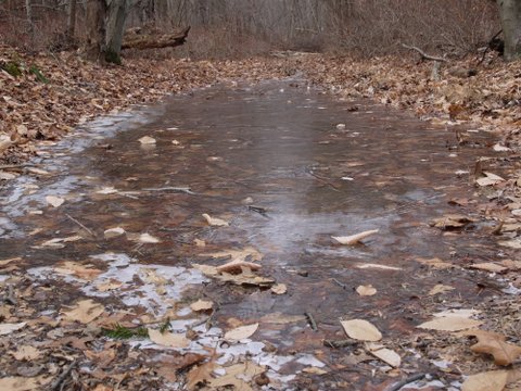 Frozen puddle blocks trail