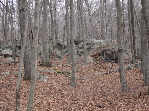 Outcrop, Yellow Trail, Mountain Lakes Park, Westchester County, NY