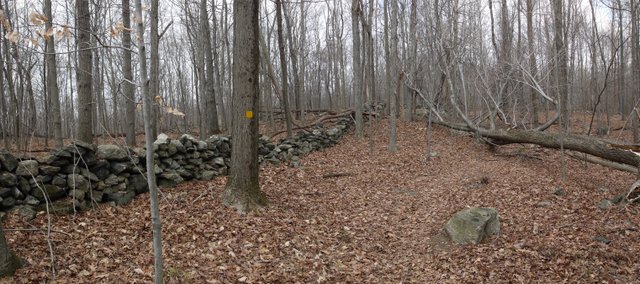 Rock wall, Yellow Trail, Mountain Lakes Park, Westchester County, NY