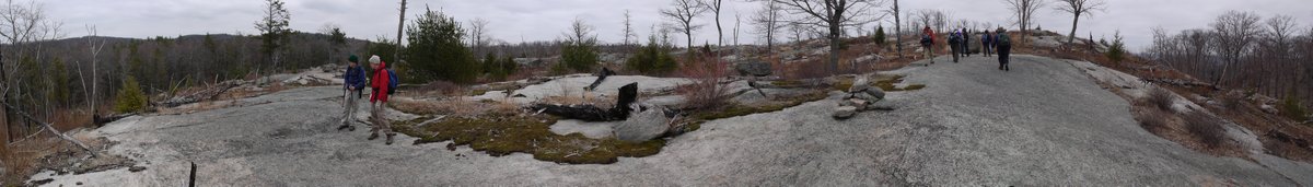 Bare rock, Lichen Trail, Harriman State Park, NY