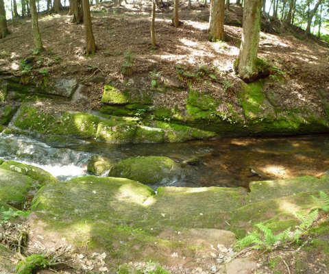 Van Campens Glen Trail, Delaware Water Gap, NJ