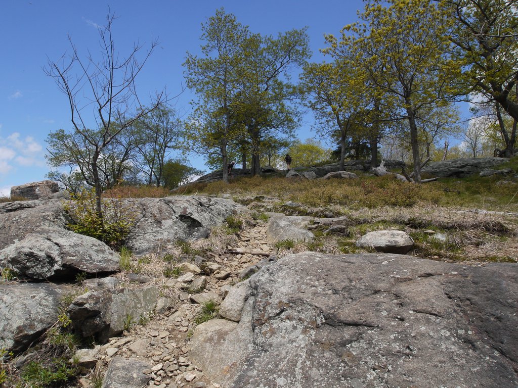Parker Cabin Mountain, Harriman State Park, NY