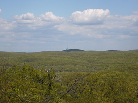 View from Tom Jones Mountain, Harriman State Park, NY