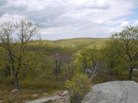 Ramapo-Dunderberg Trail, Harriman State Park, NY