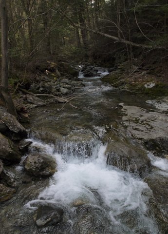Stream, Alander Mountain Trail, Mt. Washington State Forest, MA
