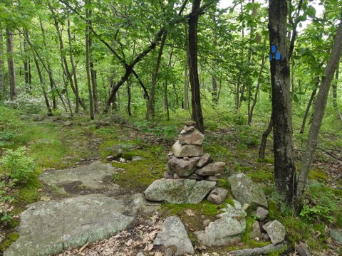 Intersection of Appalachian Trail with Sapphire trail, Harriman State Park, NY