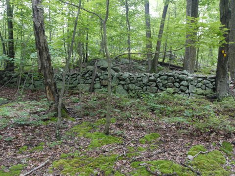 Stone walls, Sterling Forest State Park, NY