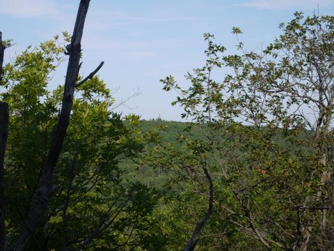 Fire tower as seen from orange trail, Sterling Forest State Park, NY