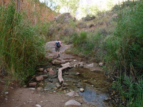Stream across the Bright Angel Trail, Grand Canyon