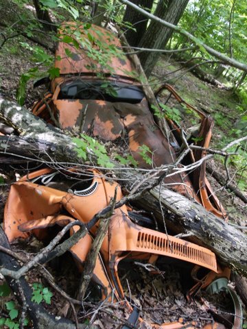 Crushed Volkswagen Beetle, Stonetown Circular Trail, Passaic River Coalition, NJ