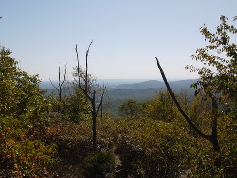Scenic View from Yellow Trail, Norvin Green State Forest, NJ