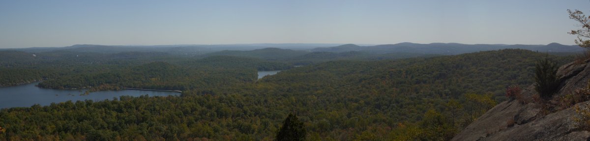 Panorama, Norvin Green State Forest, NJ