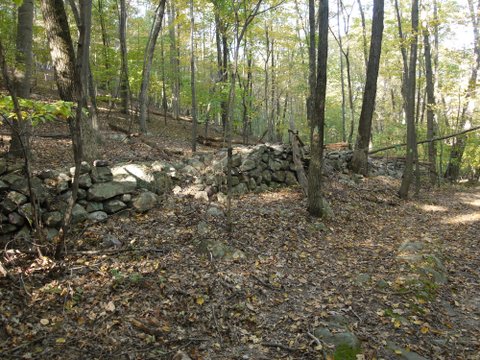 Stone wall, Norvin Green State Forest, NJ
