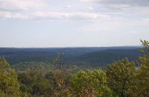 Scenic view, Norvin Green State Forest, NJ