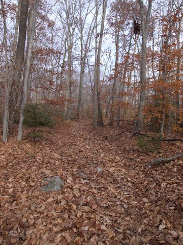 Hoeferlin Trail, Wawayanda State Park, NJ